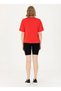 U.S. Polo Assn. Elastic Waist Slim Fit Black Women's Shorts Mort-S - 4