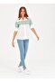 BASE. Polo Assn. Regular Fit Shirt Collar Patterned Green Women's Shirt PORI - 4