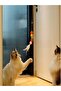 Elastic Cat Play Rod - Adhesive