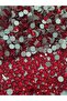 Original Rhinestone Bonding Stone - ss20 Red (50 Grams - 750 Pieces)