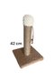 42 cm Cat Grinding - Cat Grinding - 2