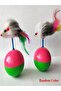 Cat Play Ball with Mouse Hacı Yatmaz