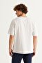 Men's Gray Oversize Loose Cut Crew Neck 100% Cotton Printed T-Shirt - 6