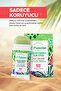 Stick Sunscreen Applicable on Makeup Spf 50+ Pa++++ Green Energy Sun Stick - 5