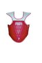 Taekwondo Safeguard/Taekwondo Body Protector/Taekwondo Chest Protector - 3