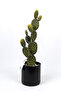 Artificial Texas Cactus in Stone-Lined Black Pot - 2