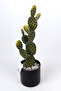 Artificial Texas Cactus in Stone-Lined Black Pot - 4