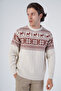 Beige Men's Hair Braided Jacquard Deer Patterned Crew Neck Knitwear Wool Sweater