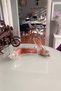 Silver Patent Leather Completely Transparent Genuine Leather Inner Lined Champagne Heel Stone Buckle Stiletto Women's Shoes - 2
