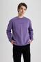 Boxy Fit Crew Neck Printed Sweatshirt V5306Az23Au