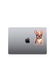 Cute French Bulldog Car, Motorcycle, Helmet, Laptop, Glass Sticker 14X9 cm - 4