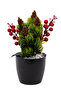 Artificial Christmas Flower Arranged with Kokina in a Pot - 2