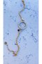 Steel Quarter Bracelet