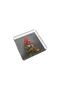 Mr. Treadfowl Plexiglass Tray - Pt2101 - 25X25Cm - 2