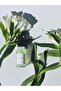Herbal Elixir| Brightening Anti-Blemish Serum for Sensitive Skin| 2% Ha Plankton - 3