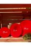 My Dinner is With Me Set - Airtight Leak Proof Hygienic Silicone Feeding Bowl - Red