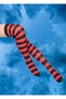 Women's Knee High Socks