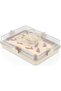 White Rectangular Pastry Cake Dumpling Storage Container - Locked Pyrex Carrying Container - 4