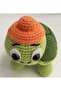 Sevimli Kaplumbağa Turtle - 3
