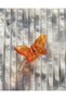 Colored Transparent Small Size Butterfly Buckle
