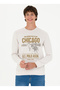 BASE. Polo Assn. Crew Neck Stone Men's Sweatshirt OVERT - 3