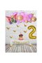 2 Year Old Multicolored Butterfly Party Set - Colorful Butterfly Foil Balloon - Gold Butterfly - Gold Number