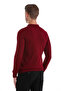 Claret Red Regular Fit Plain Polo Collar Knitwear Sweater - 6