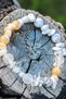 Be Like Water Natural Stone Talisman Bracelet with Broken Stones (Brown Pearl, Selenite, Howlite Stone)Chi-Zen Bracelet - 2
