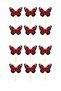 12 Pieces Red Butterfly Toothpick Cupcake Cake Decoration Decoration Thick Paper - 2
