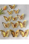 7 Year Old Multicolored Butterfly Party Set - Colorful Butterfly Foil Balloon - Gold Butterfly - Gold Number - 3