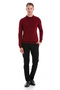 Claret Red Regular Fit Plain Polo Collar Knitwear Sweater - 2