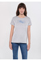 Printed Gray T-Shirt Regular Fit / Normal Cut 1611480-80196 - 2