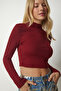Women's Claret Red High Collar Ribbed Camisole Crop Blouse ub00165 - 3