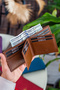 Arsenal Genuine Leather RFID Blocking Horizontal Tan Men's Wallet - 3