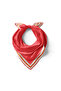 Flat Silk Handkerchief with Pomegranate Border - 2