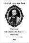 The Raven - Edgar Allan Poe 9786257319973