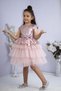 Powder Girl's Tulle Evening Dress Party and Birthday Dress
