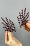 Burgundy Double Sided Helenist Bridal Hair Accessory for the Most Beautiful Brides – Crown, Crystal Stone, Stylish Model