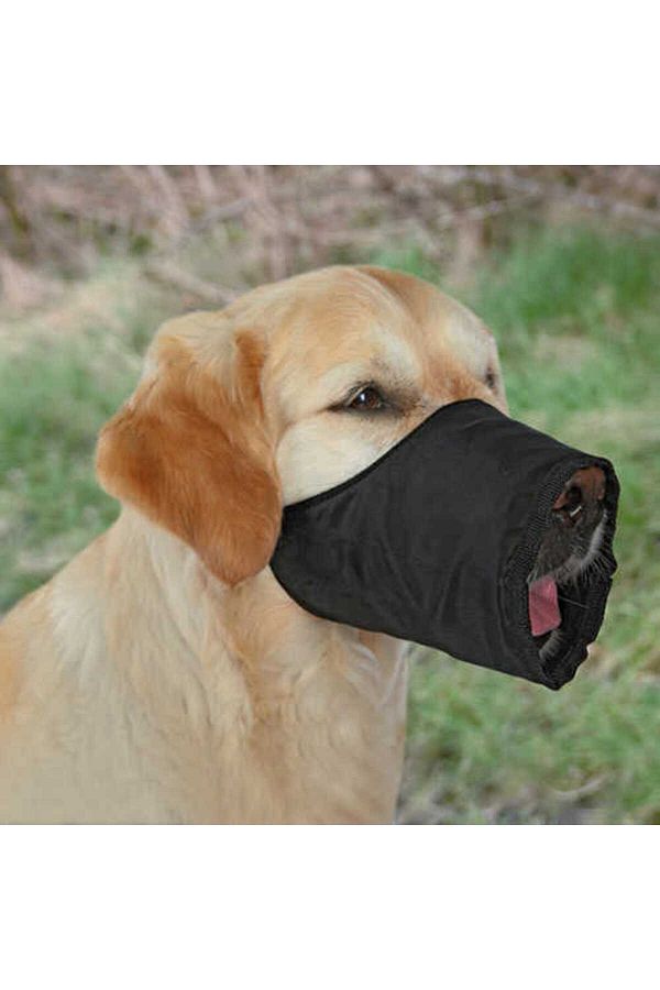 Dog mouthpiece top