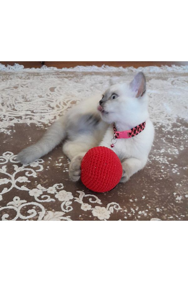 Emoji ball dog toy online