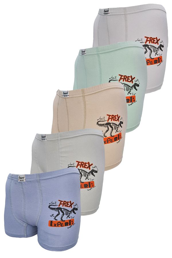 Onurel-Boys' Pack of 5 Mixed Color T-rex Printed Lycra Boxers 1