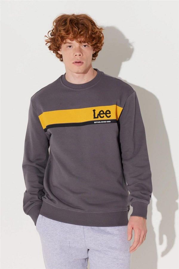 Lee Sports Sweatshirt Gray Regular fit Trendyol