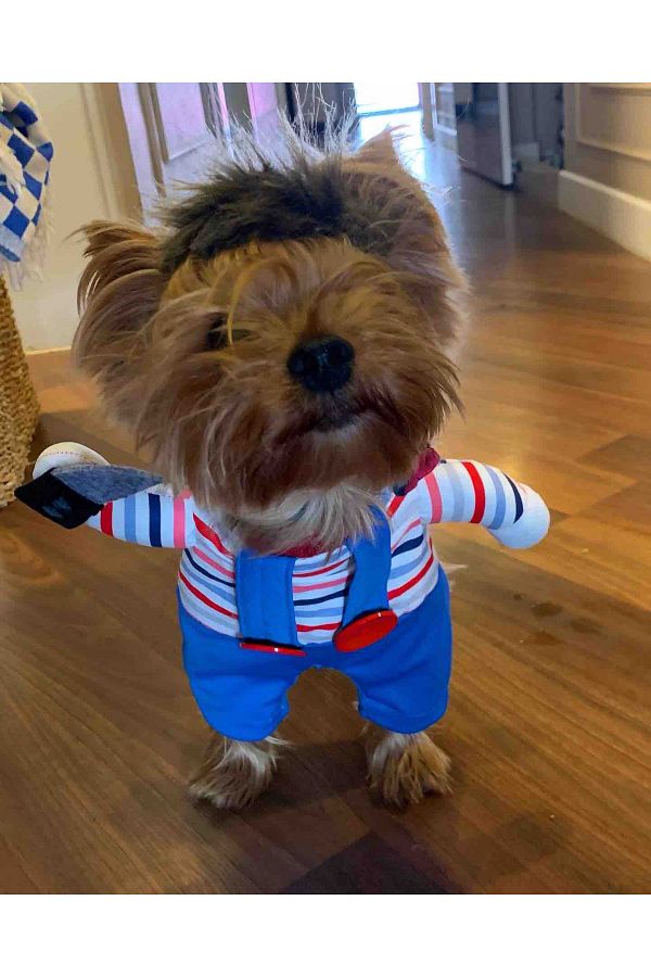 Sosyal Patiler Killer Baby Dog Costume Trendyol