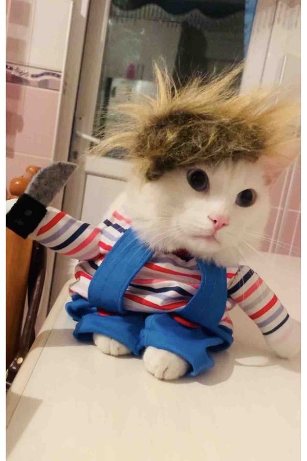 Killer cat costume outlet