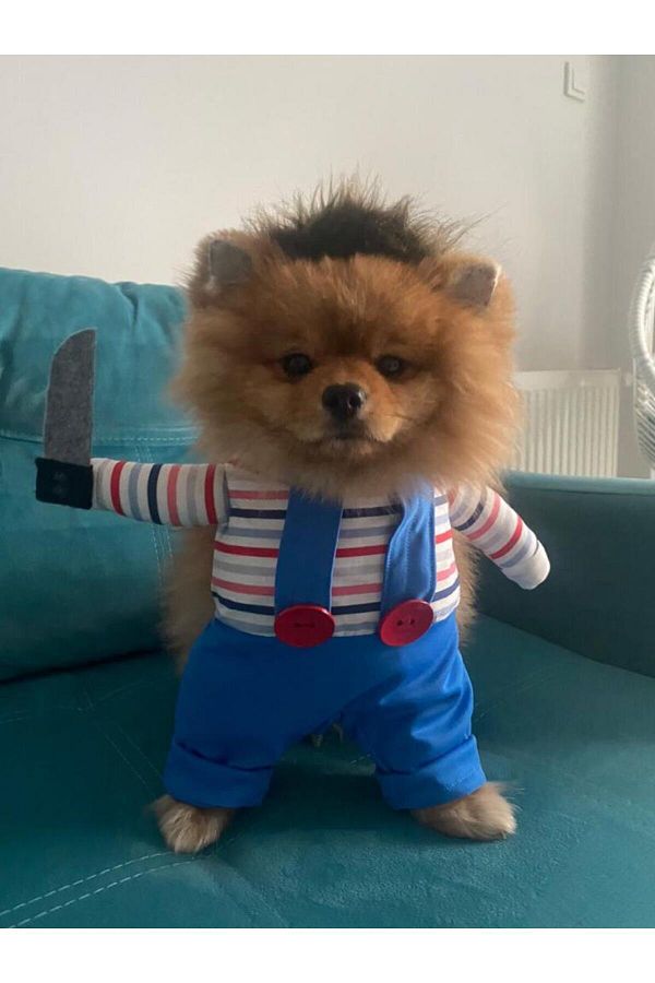 Sosyal Patiler Killer Baby Dog Costume Trendyol
