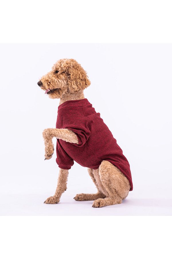 Large breed dog sweaters clearance