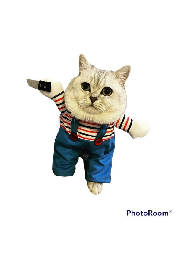 Sosyal Patiler Killer Baby Xxs Size 0 2 5 KG Cat Costume Trendyol