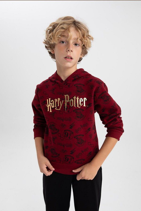 Harry potter sweatshirts for boys shop