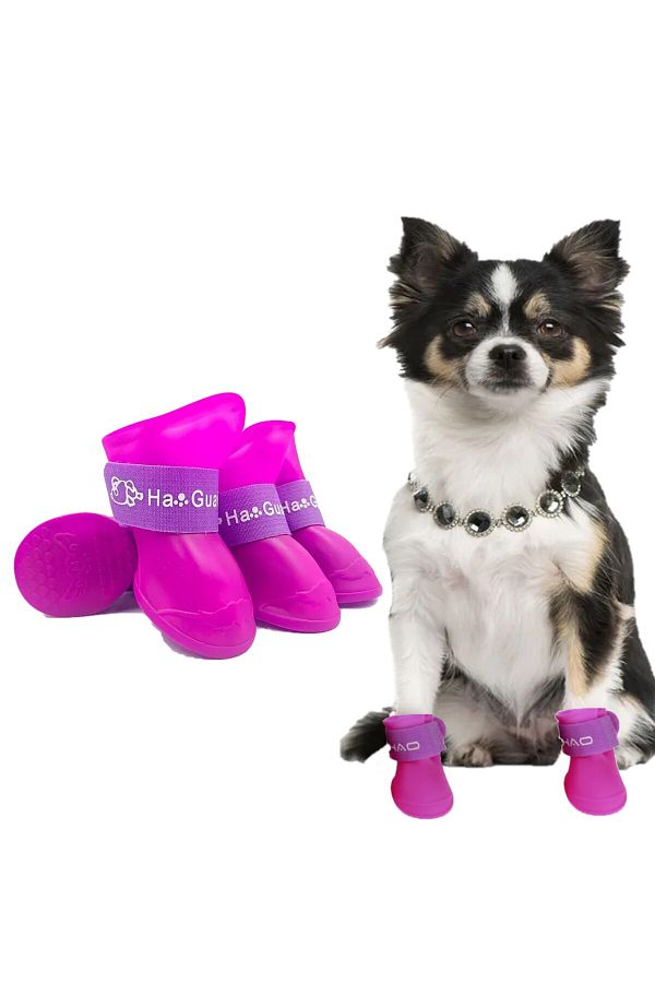 Velcro dog shoes on sale