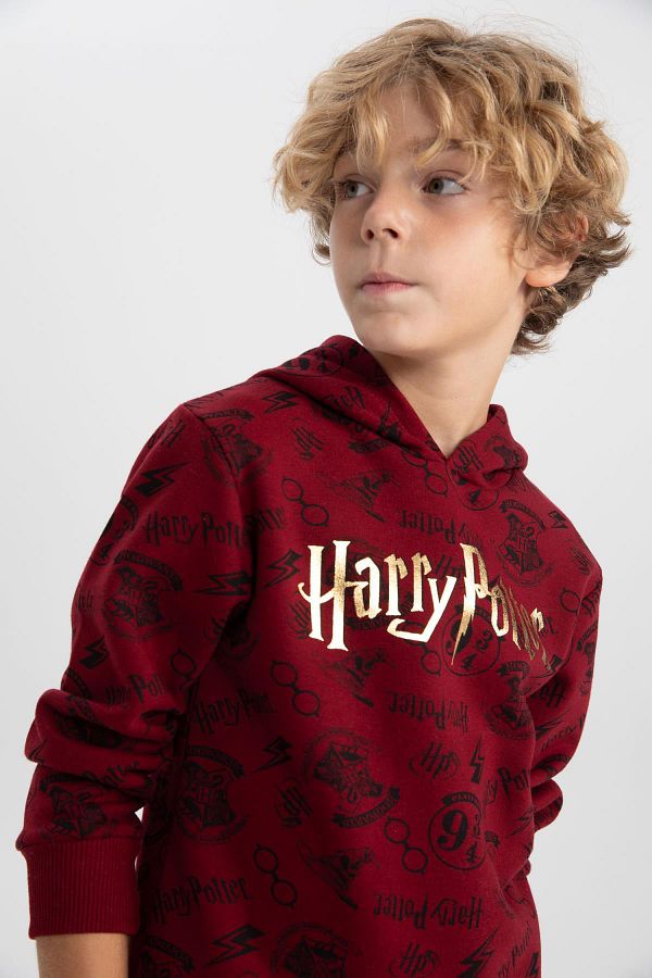 Harry potter hooded sweatshirt top